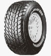   Bridgestone D699