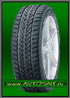Nokian WR